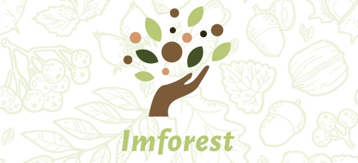 Logo de IMFOREST
